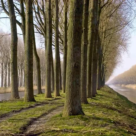 In Belgium Near The De Haan