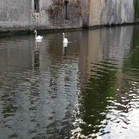 In Belgium Near The Villa De Haan